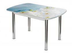 Стол обеденный Бостон брифинг белая орхидея